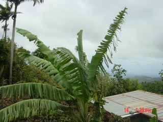 Filename=1002.jpg
Filesize=789KiB
Dimensions=2048x1536
Date added=Sep 15, 2019 1002.jpg