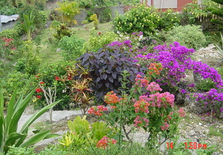 Filename=1014.jpg
Filesize=1581KiB
Dimensions=1859x1300
Date added=Sep 15, 2019 1014.jpg