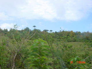 Filename=1017.jpg
Filesize=809KiB
Dimensions=2048x1536
Date added=Sep 15, 2019 1017.jpg