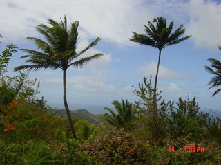 Filename=1020.jpg
Filesize=811KiB
Dimensions=2048x1536
Date added=Sep 15, 2019 1020.jpg