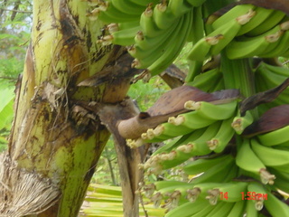 Filename=1022.jpg
Filesize=740KiB
Dimensions=2048x1536
Date added=Sep 15, 2019 1022.jpg