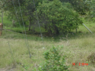 Filename=1041.jpg
Filesize=744KiB
Dimensions=2048x1536
Date added=Sep 15, 2019 1041.jpg