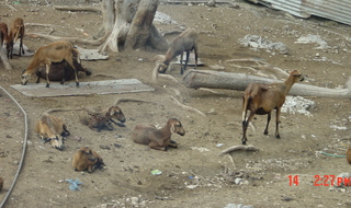 Filename=1060.jpg
Filesize=950KiB
Dimensions=1887x1122
Date added=Sep 15, 2019 1060.jpg