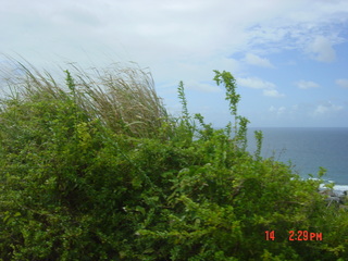 Filename=1063.jpg
Filesize=789KiB
Dimensions=2048x1536
Date added=Sep 15, 2019 1063.jpg