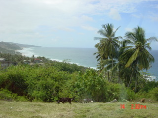 Filename=1066.jpg
Filesize=793KiB
Dimensions=2048x1536
Date added=Sep 15, 2019 1066.jpg