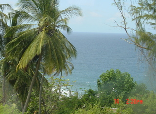 Filename=1068.jpg
Filesize=1119KiB
Dimensions=1810x1328
Date added=Sep 15, 2019 1068.jpg