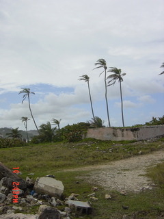 Filename=1095.jpg
Filesize=904KiB
Dimensions=1536x2048
Date added=Sep 15, 2019 1095.jpg