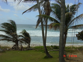 Filename=1100.jpg
Filesize=800KiB
Dimensions=2048x1536
Date added=Sep 15, 2019 1100.jpg