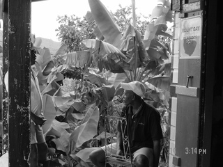 Filename=1115.jpg
Filesize=842KiB
Dimensions=2048x1536
Date added=Sep 15, 2019 1115.jpg