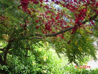 Filename=1181.jpg
Filesize=793KiB
Dimensions=2048x1536
Date added=Sep 15, 2019 1181.jpg