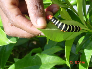 Filename=1182.jpg
Filesize=750KiB
Dimensions=2048x1536
Date added=Sep 15, 2019 1182.jpg