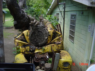 Filename=1188.jpg
Filesize=802KiB
Dimensions=2048x1536
Date added=Sep 15, 2019 1188.jpg