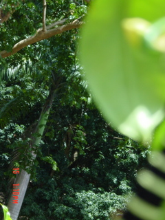 Filename=1191.jpg
Filesize=945KiB
Dimensions=1536x2048
Date added=Sep 15, 2019 1191.jpg