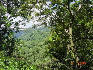 Filename=1193.jpg
Filesize=796KiB
Dimensions=2048x1536
Date added=Sep 15, 2019 1193.jpg