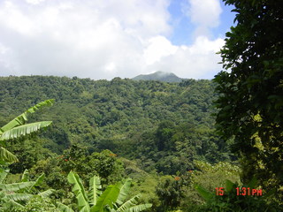 Filename=1195.jpg
Filesize=787KiB
Dimensions=2048x1536
Date added=Sep 15, 2019 1195.jpg