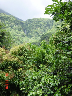 Filename=1198.jpg
Filesize=1439KiB
Dimensions=1536x2048
Date added=Sep 15, 2019 1198.jpg