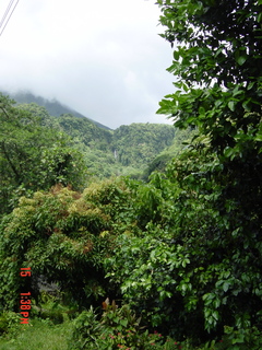 Filename=1199.jpg
Filesize=1213KiB
Dimensions=1536x2048
Date added=Sep 15, 2019 1199.jpg