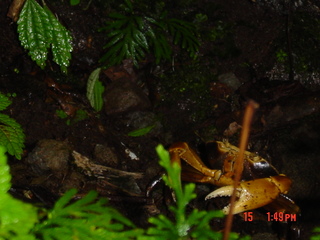 Filename=1202.jpg
Filesize=799KiB
Dimensions=2048x1536
Date added=Sep 15, 2019 1202.jpg