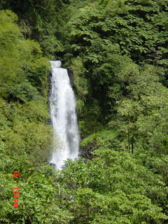 Filename=1205.jpg
Filesize=1682KiB
Dimensions=1536x2048
Date added=Sep 15, 2019 1205.jpg