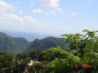 Filename=1210.jpg
Filesize=789KiB
Dimensions=2048x1536
Date added=Sep 15, 2019 1210.jpg