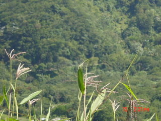 Filename=1211.jpg
Filesize=790KiB
Dimensions=2048x1536
Date added=Sep 15, 2019 1211.jpg