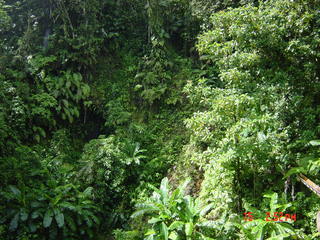 Filename=1214.jpg
Filesize=811KiB
Dimensions=2048x1536
Date added=Sep 15, 2019 1214.jpg