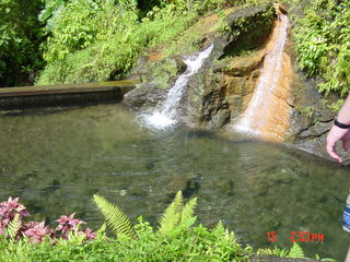 Filename=1215.jpg
Filesize=804KiB
Dimensions=2048x1536
Date added=Sep 15, 2019 1215.jpg