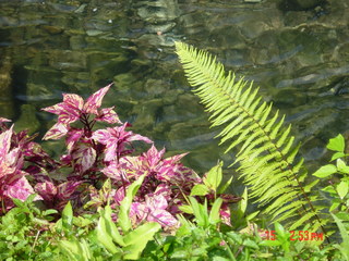 Filename=1217.jpg
Filesize=802KiB
Dimensions=2048x1536
Date added=Sep 15, 2019 1217.jpg