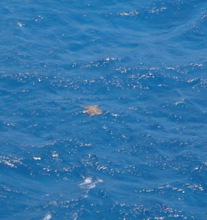 Filename=1256.jpg
Filesize=159KiB
Dimensions=639x676
Date added=Sep 15, 2019 1256.jpg