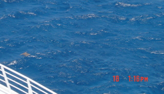 Filename=1257.jpg
Filesize=458KiB
Dimensions=1561x905
Date added=Sep 15, 2019 1257.jpg