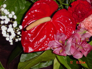 Filename=821.jpg
Filesize=785KiB
Dimensions=2048x1536
Date added=Sep 15, 2019 821.jpg