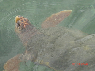 Filename=822.jpg
Filesize=742KiB
Dimensions=2048x1536
Date added=Sep 15, 2019 822.jpg