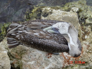 Filename=828.jpg
Filesize=808KiB
Dimensions=2048x1536
Date added=Sep 15, 2019 828.jpg