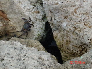 Filename=831.jpg
Filesize=781KiB
Dimensions=2048x1536
Date added=Sep 15, 2019 831.jpg