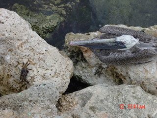 Filename=832.jpg
Filesize=798KiB
Dimensions=2048x1536
Date added=Sep 15, 2019 832.jpg