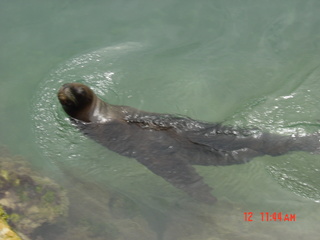 Filename=834.jpg
Filesize=716KiB
Dimensions=2048x1536
Date added=Sep 15, 2019 834.jpg