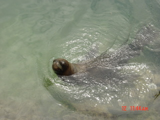 Filename=836.jpg
Filesize=792KiB
Dimensions=2048x1536
Date added=Sep 15, 2019 836.jpg