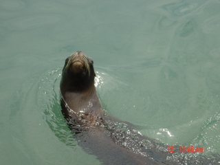 Filename=841.jpg
Filesize=759KiB
Dimensions=2048x1536
Date added=Sep 15, 2019 841.jpg