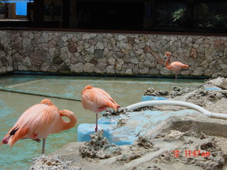 Filename=844.jpg
Filesize=803KiB
Dimensions=2048x1536
Date added=Sep 15, 2019 844.jpg