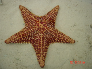 Filename=853.jpg
Filesize=804KiB
Dimensions=2048x1536
Date added=Sep 15, 2019 853.jpg