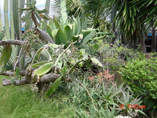 Filename=855.jpg
Filesize=802KiB
Dimensions=2048x1536
Date added=Sep 15, 2019 855.jpg