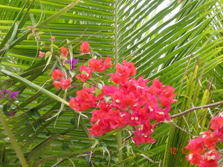 Filename=861.jpg
Filesize=803KiB
Dimensions=2048x1536
Date added=Sep 15, 2019 861.jpg