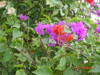 Filename=862.jpg
Filesize=799KiB
Dimensions=2048x1536
Date added=Sep 15, 2019 862.jpg