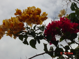 Filename=863.jpg
Filesize=740KiB
Dimensions=2048x1536
Date added=Sep 15, 2019 863.jpg