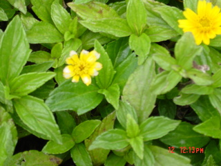 Filename=867.jpg
Filesize=775KiB
Dimensions=2048x1536
Date added=Sep 15, 2019 867.jpg