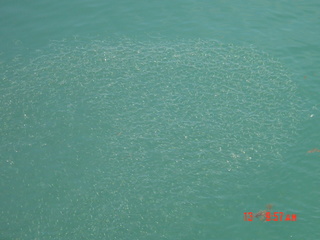 Filename=918.jpg
Filesize=752KiB
Dimensions=2048x1536
Date added=Sep 15, 2019 918.jpg