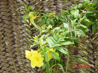 Filename=920.jpg
Filesize=804KiB
Dimensions=2048x1536
Date added=Sep 15, 2019 920.jpg