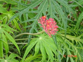 Filename=921.jpg
Filesize=811KiB
Dimensions=2048x1536
Date added=Sep 15, 2019 921.jpg