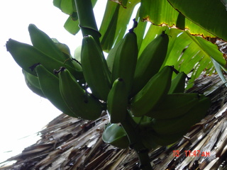 Filename=923.jpg
Filesize=755KiB
Dimensions=2048x1536
Date added=Sep 15, 2019 923.jpg