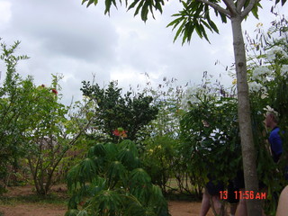 Filename=924.jpg
Filesize=799KiB
Dimensions=2048x1536
Date added=Sep 15, 2019 924.jpg